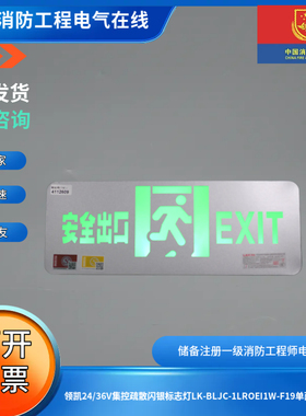 领凯24/36V集控疏散闪银标志灯LK-BLJC-1LROEI1W-F19单面安全出口