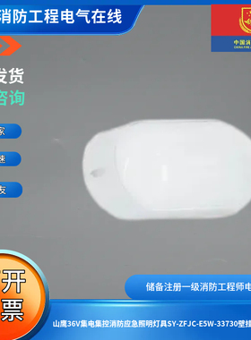 山鹰36V集电集控消防应急照明灯具SY-ZFJC-E5W-33730壁挂式应急灯