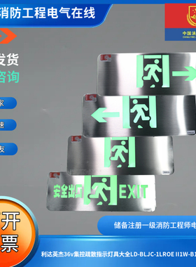 利达英杰36v集控疏散指示灯具大全LD-BLJC-1LROE II1W-B15D系列