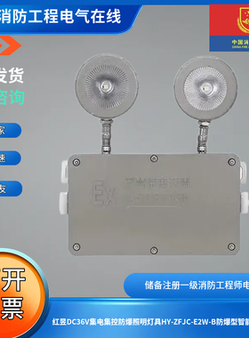 红昱DC36V集电集控防爆照明灯具HY-ZFJC-E2W-B防爆型智能双头灯