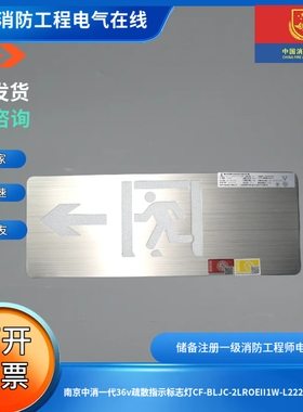 南京中消二代36v疏散指示标志灯CF-BLJC-2LROEII1W-L2222双面单向