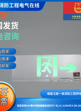 现货尼特36V集中控制疏散标志灯NT-BLJC-1LRX0EⅡ1W-26X单面向右