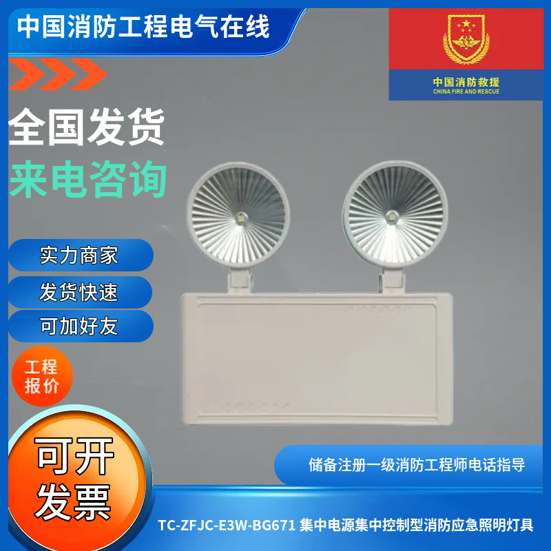 营口天成TC-ZFJC-E3W-BG671 集中电源控制型应急壁挂型双头灯