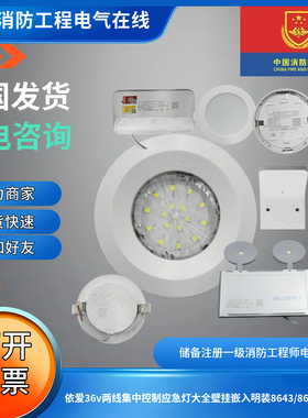 依爱36v两线集中控制应急灯大全壁挂嵌入明装8643/8645GB/XQ系列