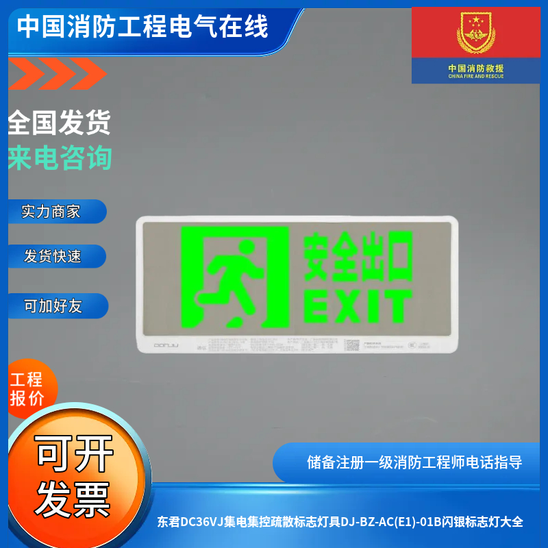 东君DC36VJ集电集控疏散标志灯具DJ-BZ-AC(E1)-01B闪银标志灯大全