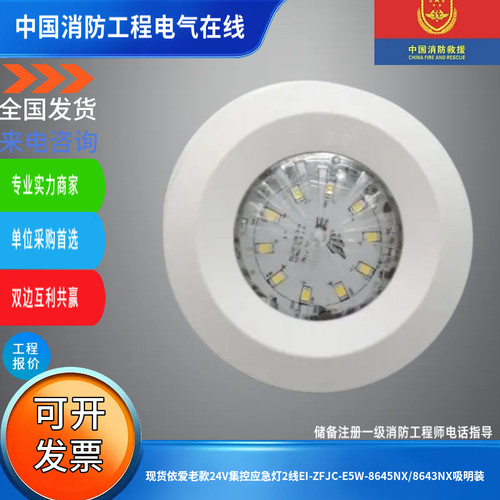 现货依爱老款24V集控应急灯2线EI-ZFJC-E5W-8645NX/8643NX吸明装