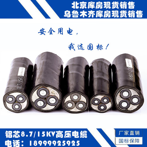 国标阻燃铠装高压平方电线电缆