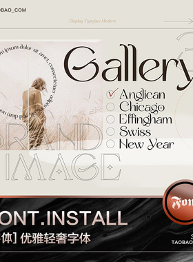 3SD3轻奢女性优雅艺术杂志风格MACWIN英文字体安装包PSAI设计素材