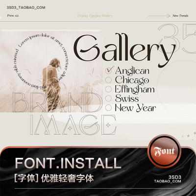 3SD3轻奢女性优雅艺术杂志风格MACWIN英文字体安装包PSAI设计素材