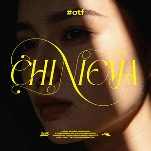 3SD3纤细花体流畅连笔装饰性曲线复古优雅艺术脚本高级PS英文字体