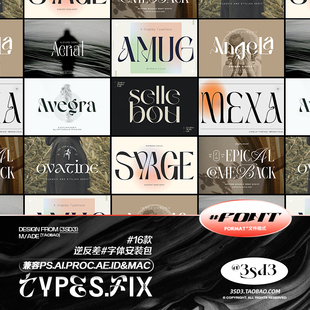 3SD3 高级排版古典衬线逆反差英伦LOGO复古PSPROCREATE字体包合集