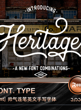 3SD3复古美式涂鸦手绘手写连笔随意风格LOGO英文字体PS素材安装包