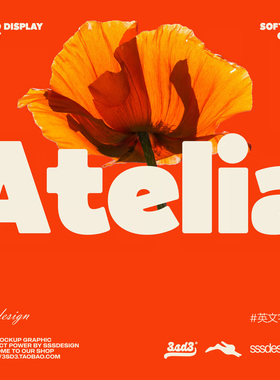 3SD3重磅硬核运动好看高级简约LOGO主标题标题排版PSAI英文字体包