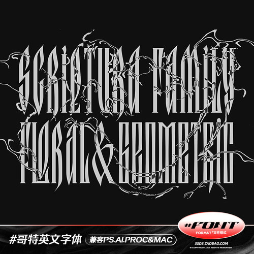 3SD3设计素材 拉长复古哥特古典主义艺术风格PROCREATE英文字体包