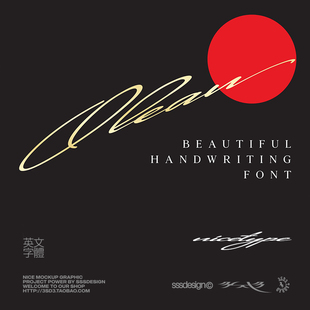 3SD3潇洒随意轻松艺术抽象文艺浪漫的手写连笔签名PSAI英文字体包
