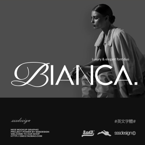 3SD3高级时装杂志婚礼LOGO标题花体衬线组合PROCREATE英文MAC字体