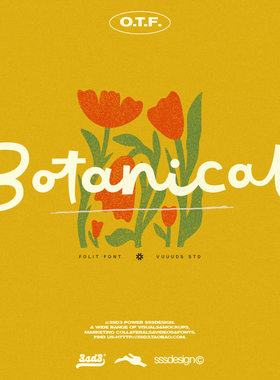 3SD3 轻松流畅高级艺术小众文艺复古手写PROCREATE英文字体安装包