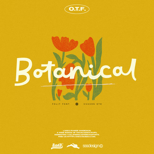 3SD3 轻松流畅高级艺术小众文艺复古手写PROCREATE英文字体安装包