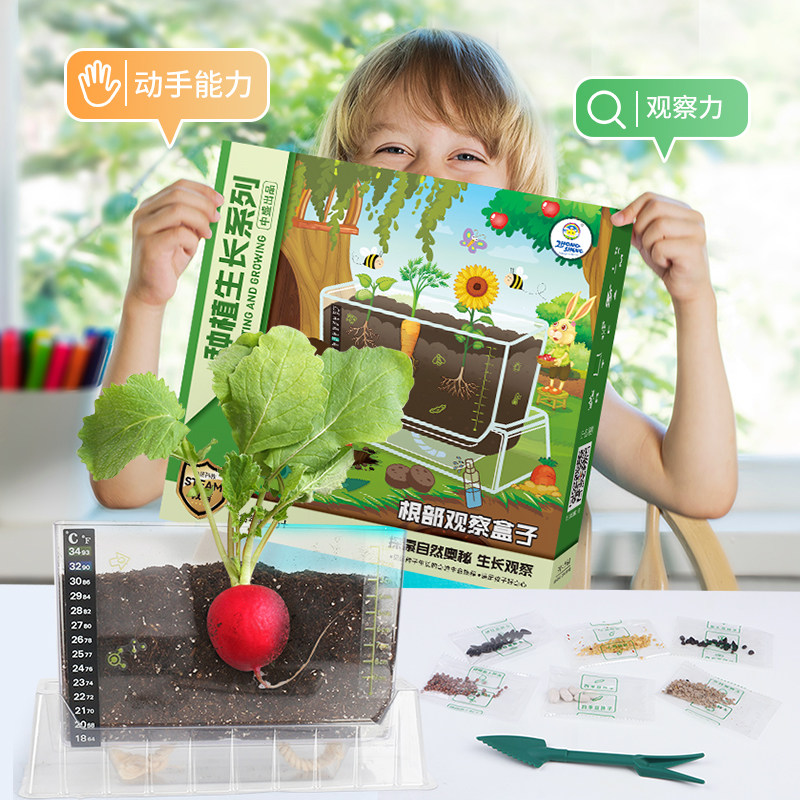 儿童植物生长观察日记笔记根系透明种植小盆栽种菜玩具套装小学生