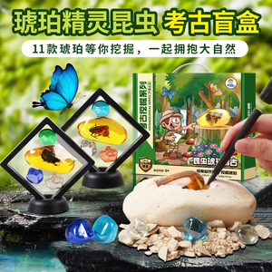 中盛科学考古实验琥珀精灵宝石