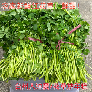 农家新鲜花草野菜紫云菜红花草籽草头菜翘摇金花菜台州花草炒年糕
