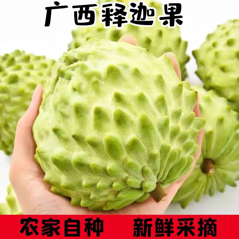 正宗广西凤梨释迦果大果