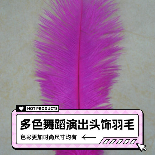 美丽娅舞蹈羽毛新疆舞蹈服全套