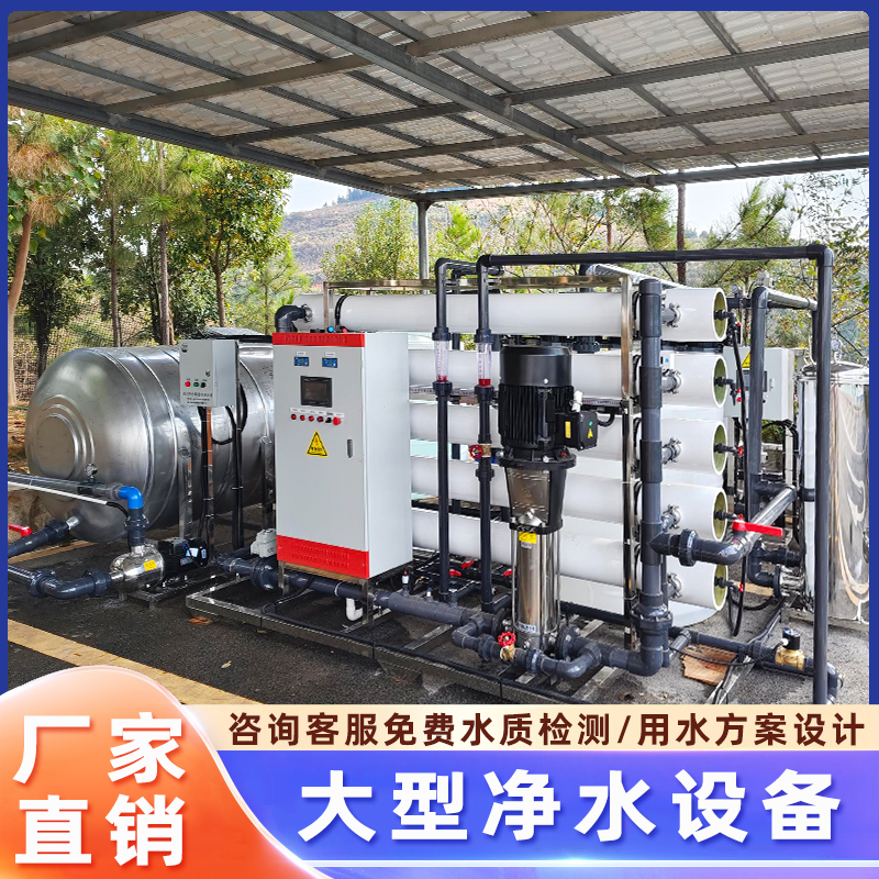 汐汐大型工业反渗透水处理设备去离子水机桶装纯净直饮水设备工厂