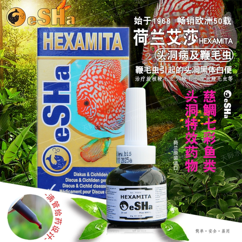 荷兰艾莎eSHa鱼药eSHa HEXAMITA新鱼检疫治疗真菌细菌头洞及内寄