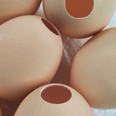 鸡蛋壳捏捏乐解压小工具