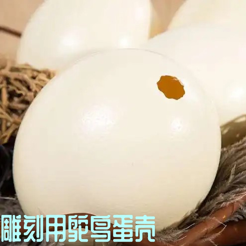 天然鸵鸟蛋壳雕刻材料非驼鸟蛋壳