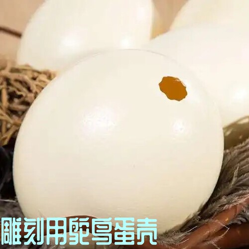 天然鸵鸟蛋壳雕刻材料非驼鸟蛋壳