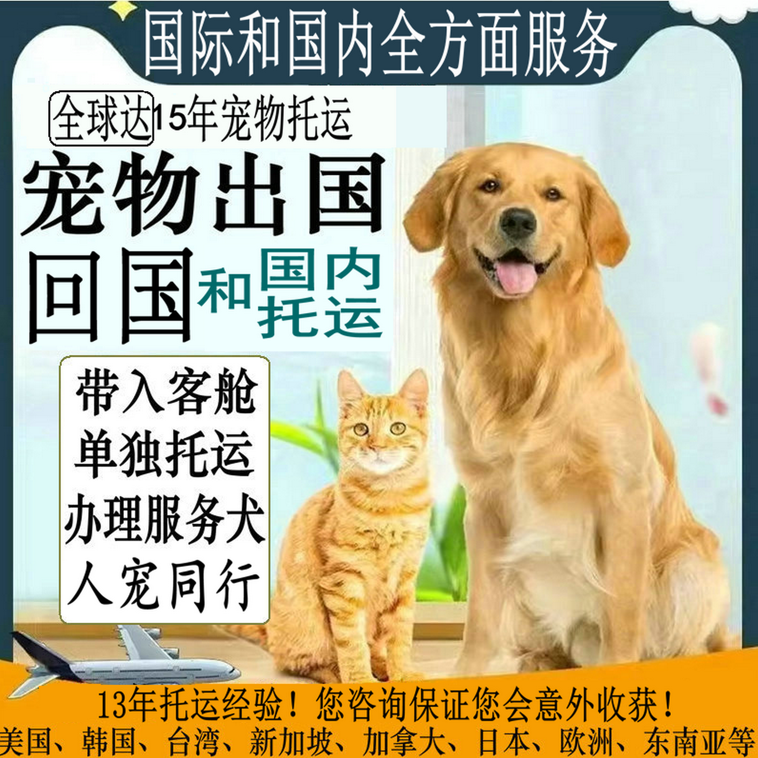 顺丰宠物托运全国服务顺风国际宠物出国回国人宠同行随机专车高铁