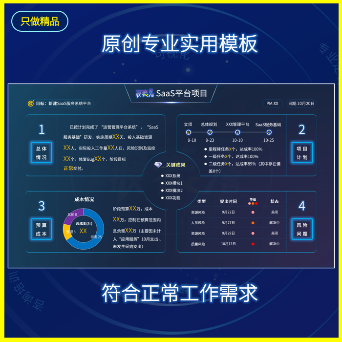 一页纸项目管理报告模板月度总结报告模板工作报告实用案例模板