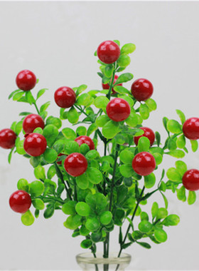 仿真植物水果富贵果招财果工程花