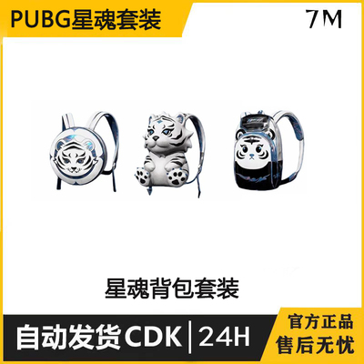 PUBG绝地求生吃鸡白虎背包套装CDK星魂背包套装兑换码饰品