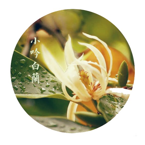 【润妍堂】嫣晰小吟白兰花香古风古方香水固体香膏一花一木