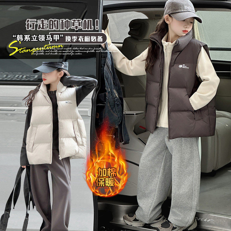 立领聚酯纤维B类保暖女棉袄/棉棉袄/棉服