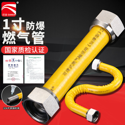 304不锈钢波纹管高压软管输送管