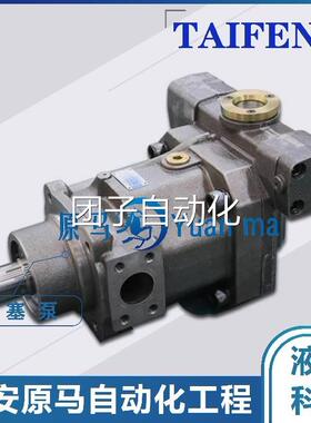 TAIFENG柱塞泵TFB1V16Y/1X-LRB2 10Y 25Y 32Y 40Y 45Y 55Y 71Y询