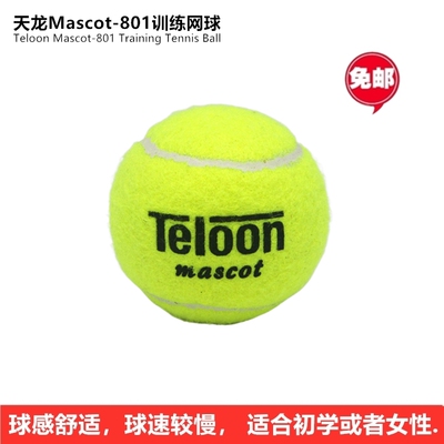 天龙Teloon训练网球散装整袋