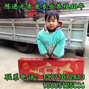 甘露青鱼干5斤整条真空礼盒装无锡特产甘露青鱼干螺蛳青鱼干