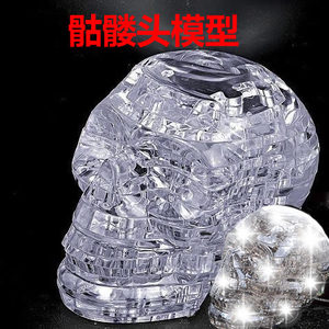 骷髅头拼图3D立体模型智力拼图玩具学生动手能力提高拼图儿童益智