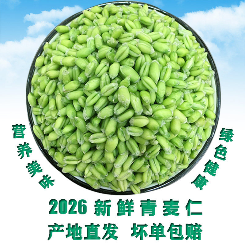 2026青麦仁新鲜嫩绿麦子小麦粒碾转去皮即食青麦穗煮粥杂粮鲜麦仁