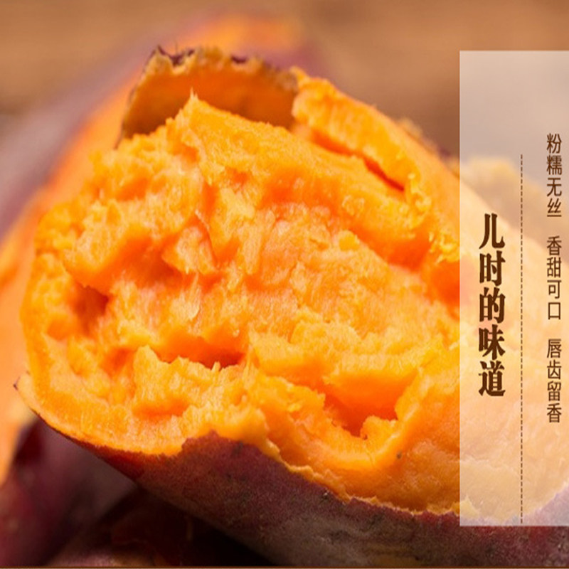 2026年新鲜红薯西瓜红种子地瓜糖心蜜薯蒸烤黄心番薯精品富晒农家