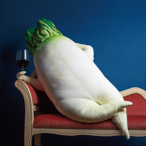 日本芬理希梦性感大根创意抱枕