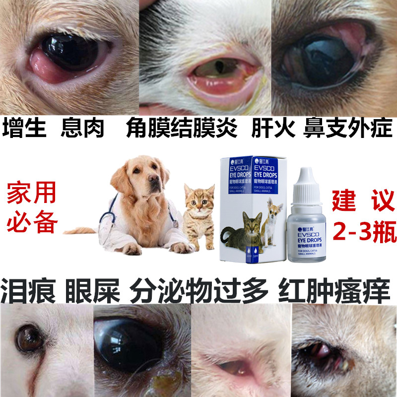猫狗消炎眼药水 滴眼液眼睛息肉发红肿比熊去泪痕药结膜角膜炎