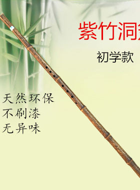乐器初学入门成人长萧古风洞箫