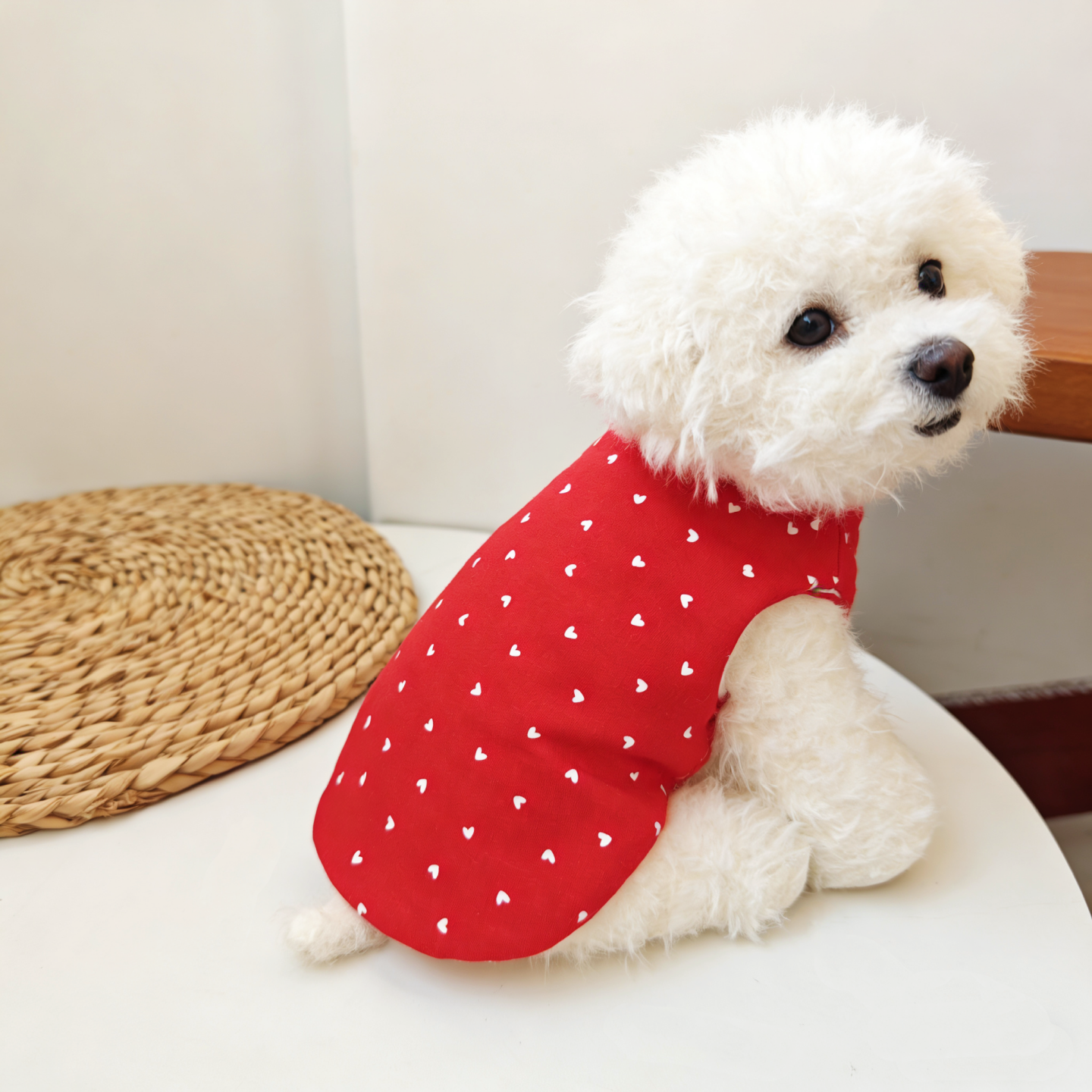 宠物小码夹棉背心猫咪狗狗衣服纯棉针织柔软比熊小型犬秋冬保暖