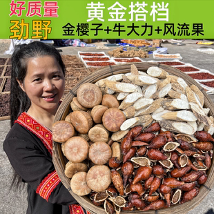 野生金樱子牛大力风流果组合泡酒材料金英子石头果专用中药材